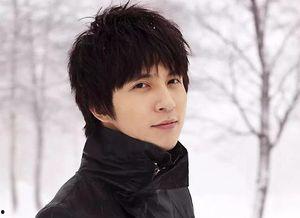 当真雪资料,探寻冬季冰雪世界的奥秘