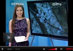 英语频道女主播,Empowering the Airwaves: The Inspiring Journey of a Female English TV Anchor