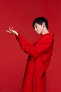 新浪娱乐 华晨宇,音乐梦想与人生感悟