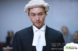 盲侠大律师的演员表,实力派演员阵容，演绎正义与智慧